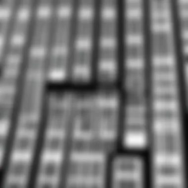 Variety of Barcode Labels A close-up of various types of barcode labels.