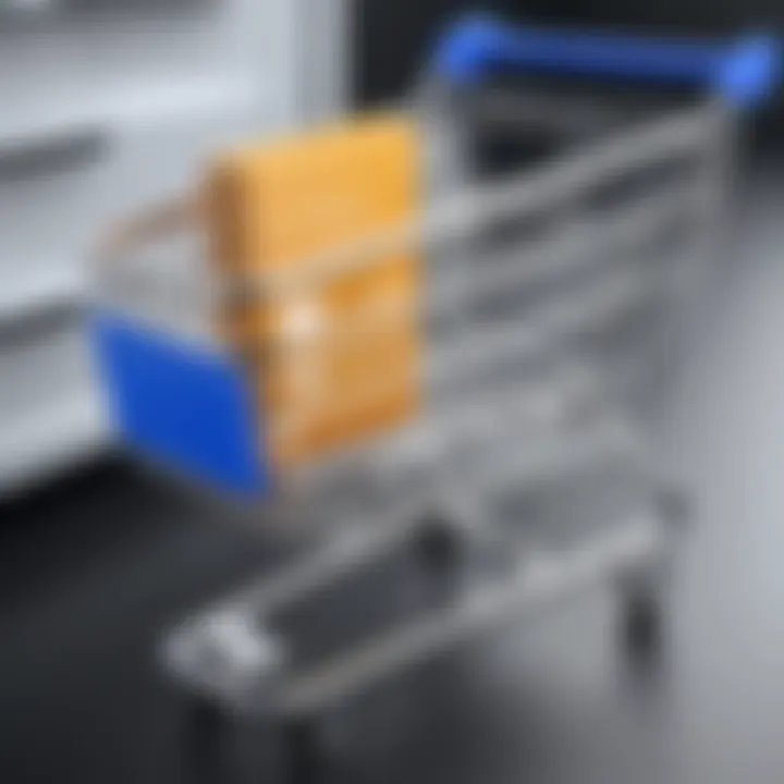 Illustration showcasing customization options available in shopping cart solutions.