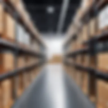 Integration capabilities of warehouse management systems