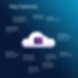 Illustration showcasing Adobe Cloud Storage features