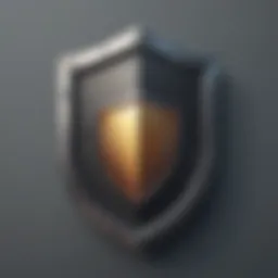 Fortified Shield