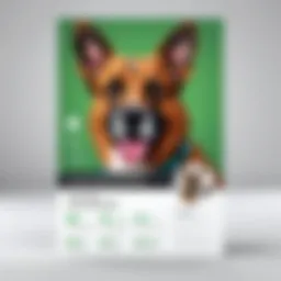 A well-designed promotional flyer for dog boarding services