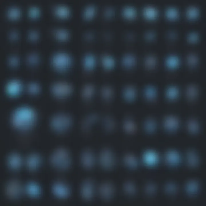 Customization Options for SaaS
