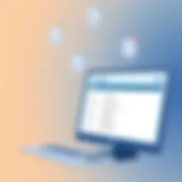 SAS Interface Overview