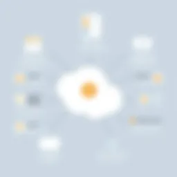 Visualization of Boomi integration features