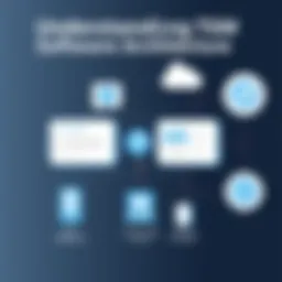 Visual representation of TSM software architecture