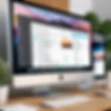 Organized digital files on a Mac desktop