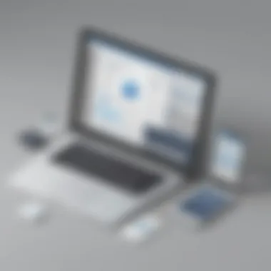Revolutionary Functionality of My Apps Paychex Innovative software features