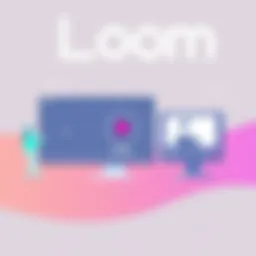Overview of Loom video software interface