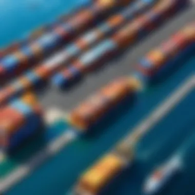 Cargo Tracking Capabilities of Magaya Cargo System A visual representation of cargo tracking features in the Magaya system