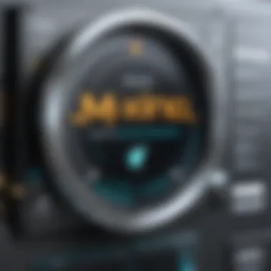 Efficiency Revolution through Maximo FSM Efficiency Revolution through Maximo FSM