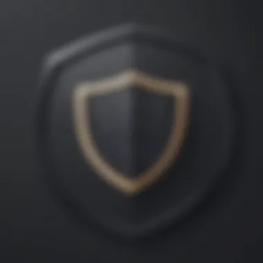 Privacy Shield Compliance Privacy Shield Icon