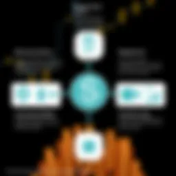 Visual representation of private equity accounting features