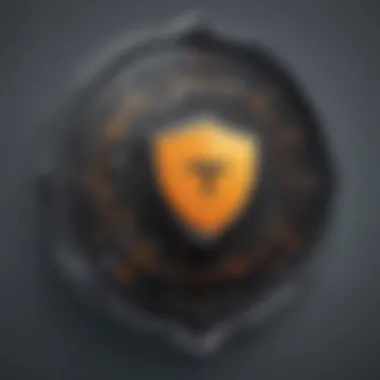 Secure Connection Shield Icon