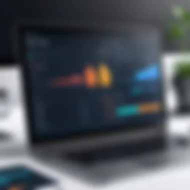 Accounting Software Interface Overview Visual representation of accounting software interface