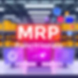 Visual representation of MRP functionalities