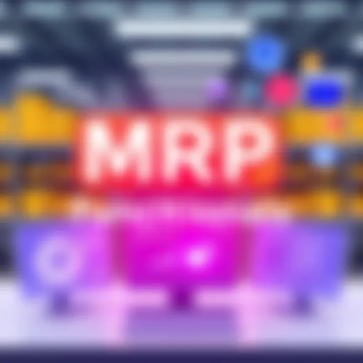 Visual representation of MRP functionalities